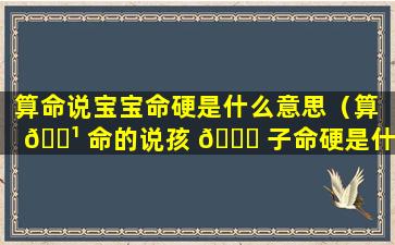 算命说宝宝命硬是什么意思（算 🌹 命的说孩 🐅 子命硬是什么意思）